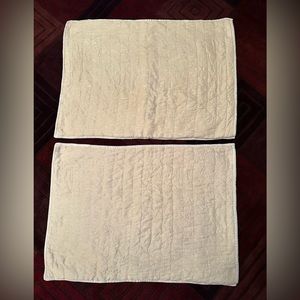 Pottery Barn Standard Pillow Shams-Set of two